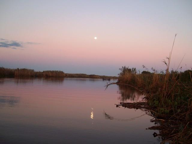 delta rosu 2010 - sany1222.JPG